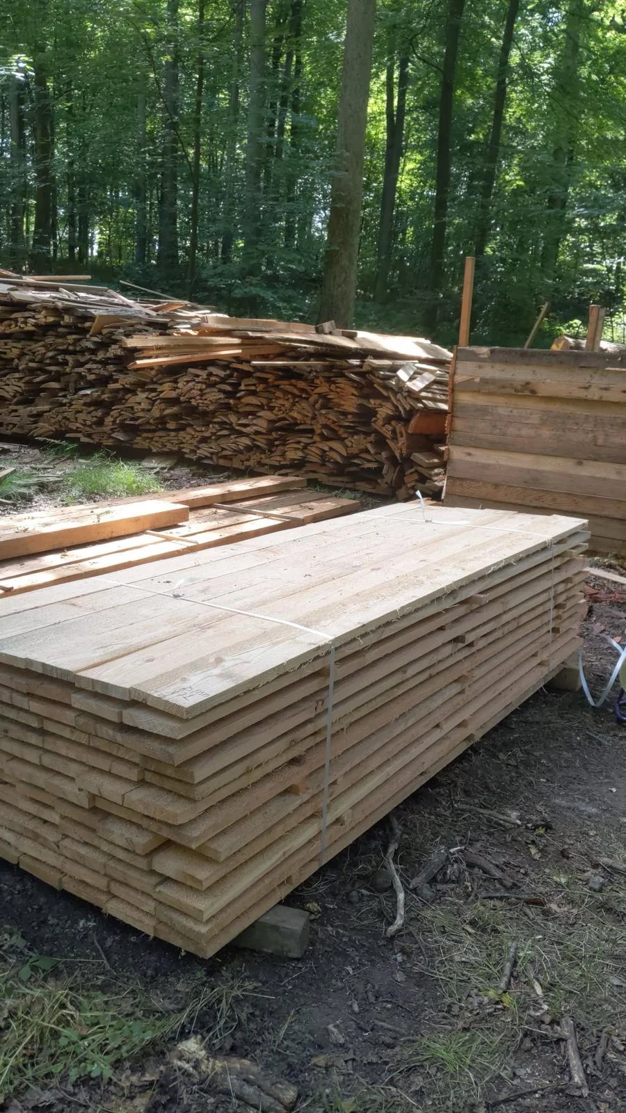 Lot de bois scié empilé sur des supports, devant des chutes de bois en lisière de forêt