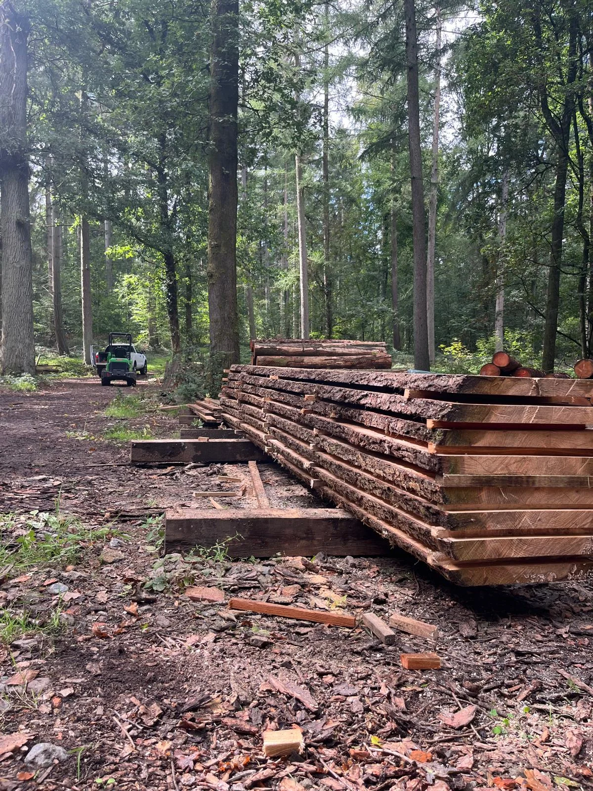 Plateaux bruts avec leur écorce, empilés sur des supports au milieu des arbres